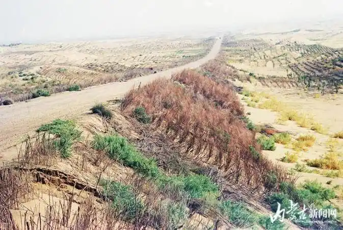 穿沙公路让沿线绿起来富起来火起来_治沙_沙漠_内蒙古