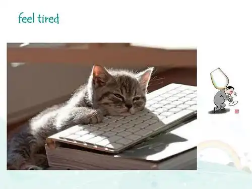 陕西旅游版五年级英语下册unit 1 how are you feeling now课件ppt