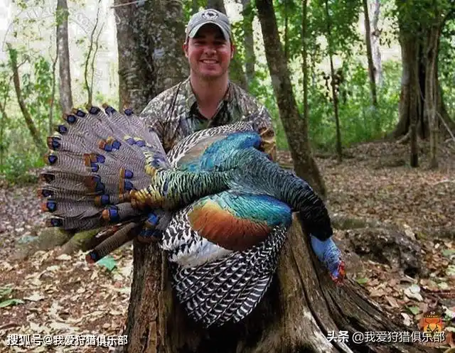 多彩墨西哥第二篇之探秘墨西哥雨林里大家不知道的神秘动物