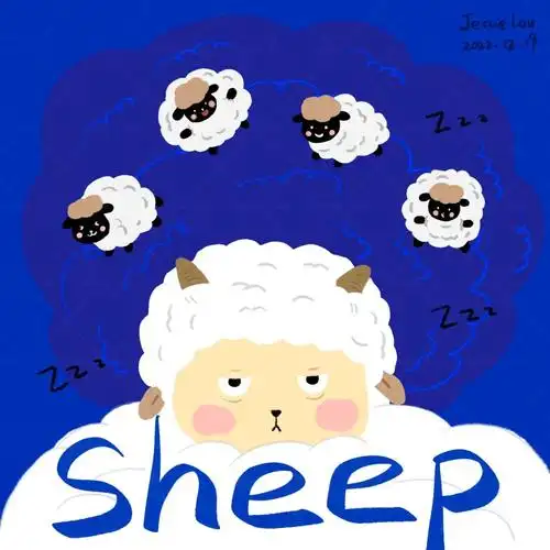 原创插画数绵羊的