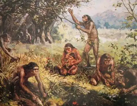 早期猿人距今约270万～300万年,晚期猿人距今约30万～155万年.