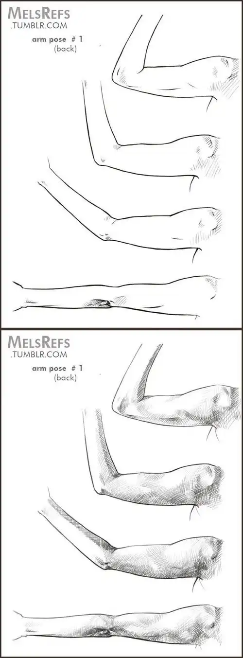 绘画参考# 当手臂屈肘旋转 的动图/过程 .