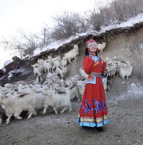 可可托海的牧羊女