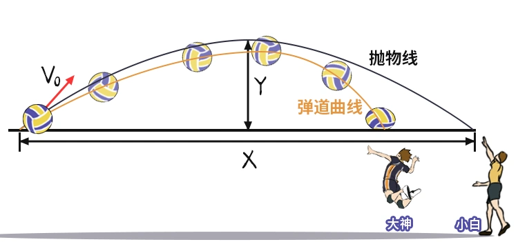 经验丰富的排球大神知道排球不是抛物线,而是弹道曲线,轨迹不是对称的