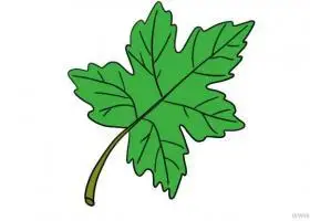 树叶儿童画怎么画 树叶简笔画图片大全