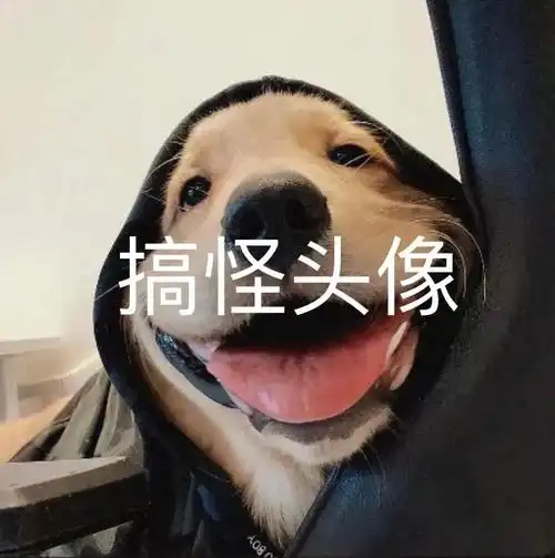 沙雕头像搞怪头像奇葩头像该换头像啦抖音