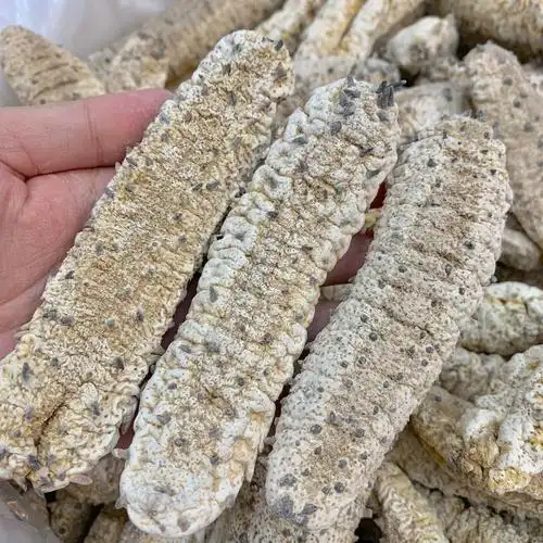 摩洛哥深海白刺参 刺秃参 淡干海参疗刺参秃参肉质肥厚500g包邮