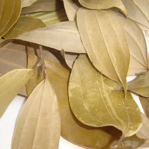 【福建武夷山纯天然】农村土特产/月桂叶/香桂叶