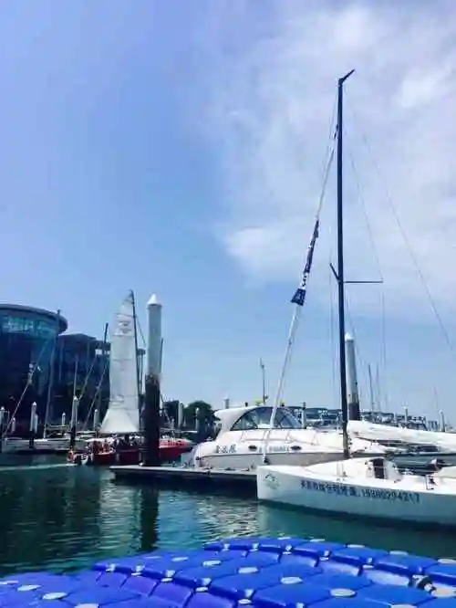 厦门云帆帆船游艇俱乐部-"交通:离市区还挺远的,在环岛路,市区打的.