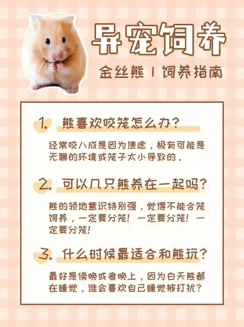 仓鼠的寿命在异宠界相对是比较短的08所以宝子们养金丝熊的时候要