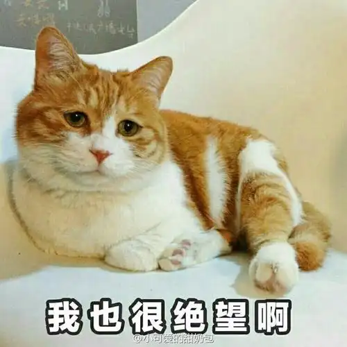 最近诸事不顺(;o´)o.