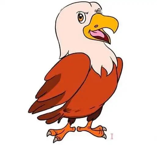 老鹰简笔画图片 老鹰的画法教程涂色