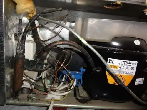 冰箱维修|心里有数不吃亏!冰箱不制冷修多少钱?