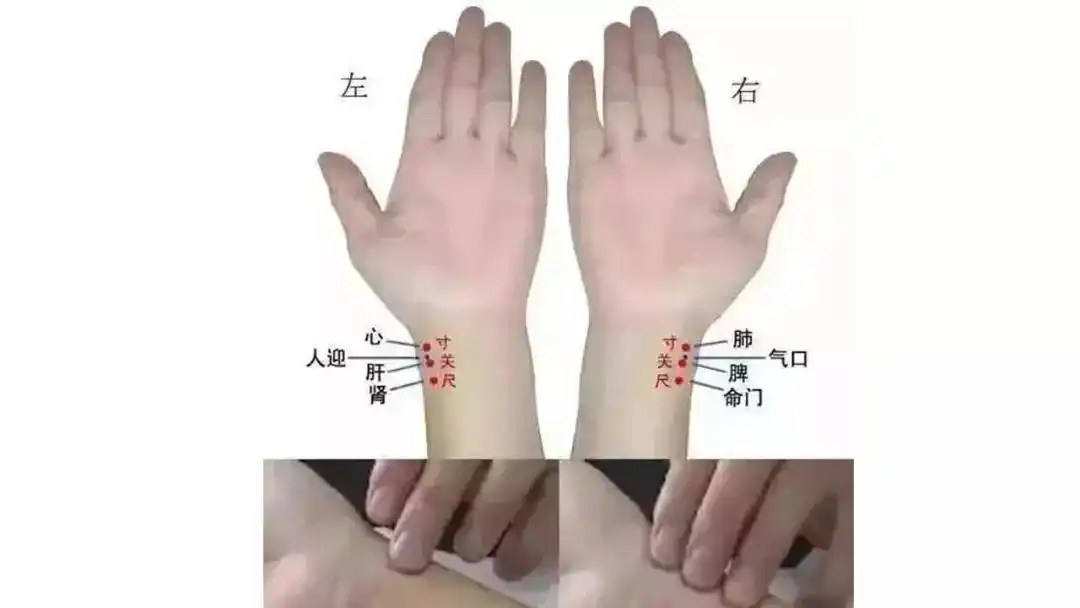 涨姿势:为什么中医在手腕上把一会脉就知道得了什么病?