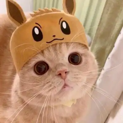 皮卡丘小帽子主题 可爱