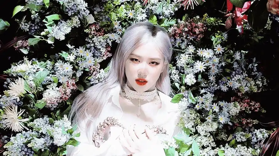 朴彩英橙光素材 - 堆糖,美图壁纸兴趣社区