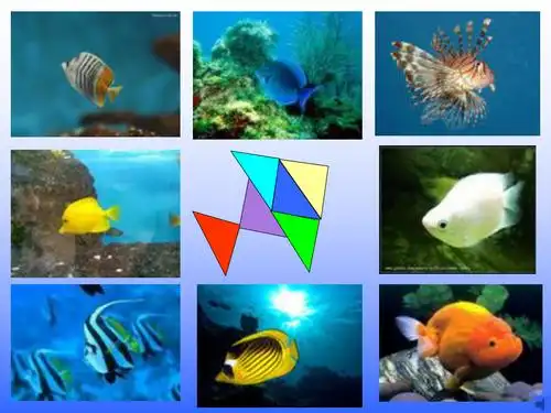 我是由6个三角形拼成ppt课件