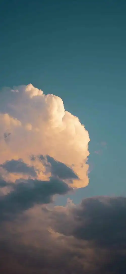 抖音最火手机壁纸丨为爱所困不是奥特曼的风格