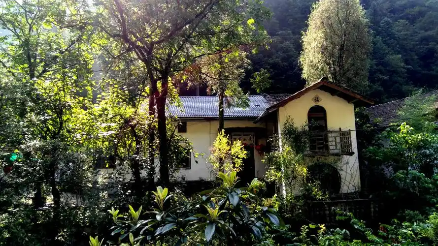 竹林深处有人家,美景之屋.