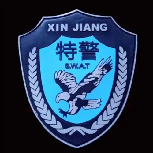 帅!全国公安特警标志臂章图集