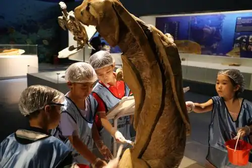 昆山周庄生命奥秘博物馆推出春节惠民活动