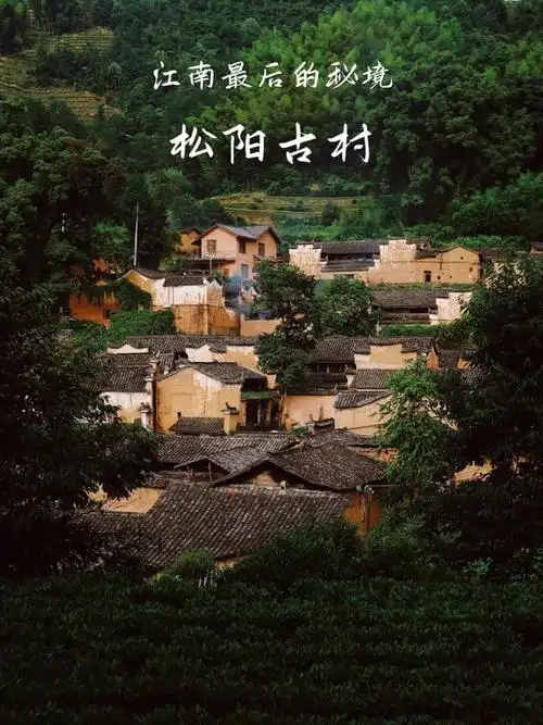 上海高铁出发|松阳3天2夜超详细攻略!