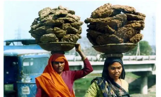 印度"牛粪饼"脱销,国人直呼恶心,印度却喊冤:真不是为了吃!