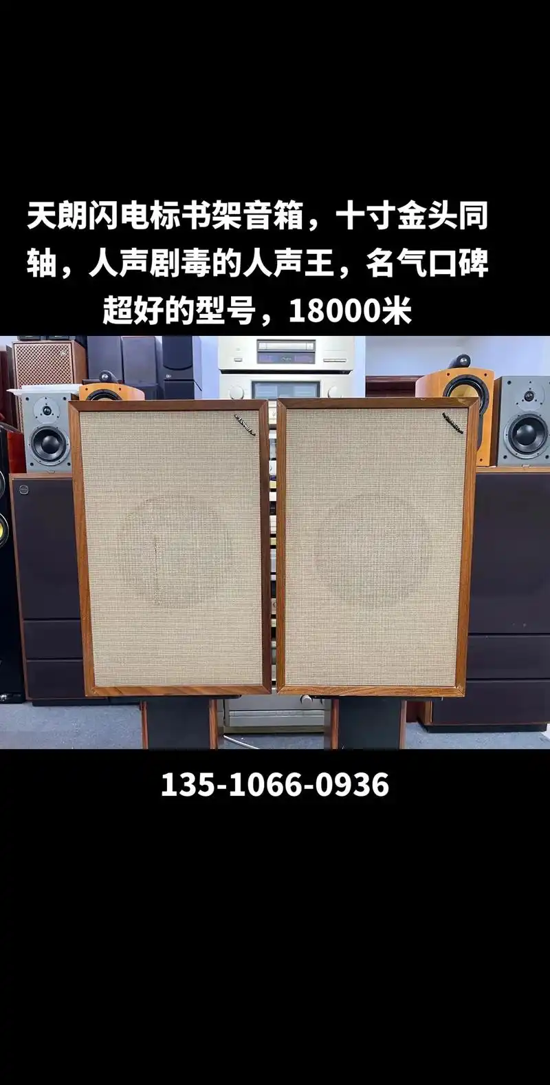 天朗闪电十寸金头同轴音箱