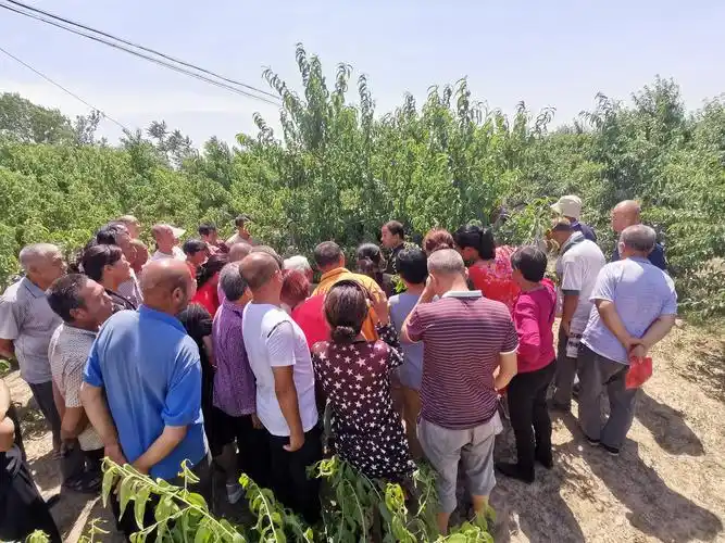 加强农民技能培训,确保脱贫产业致富