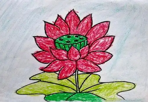 少儿书画作品-荷花/儿童书画作品荷花欣赏_中国少儿美术教育网