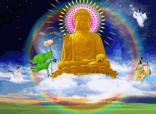 550_400gif 动态图 动图