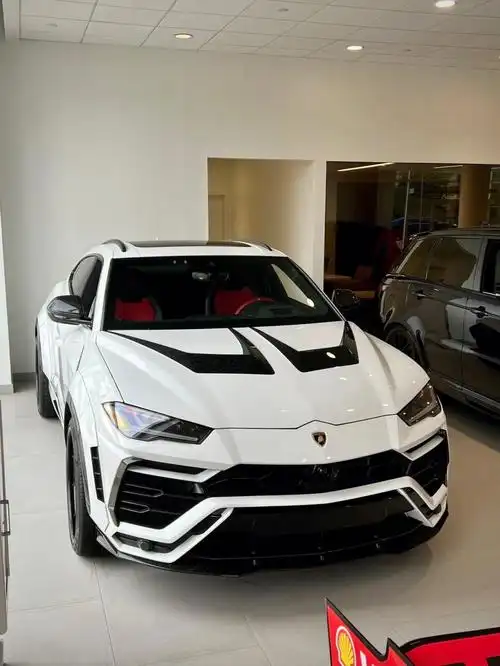 汽车  #汽车分享  #豪车  #兰博基尼urus  #兰博基尼  #改装车