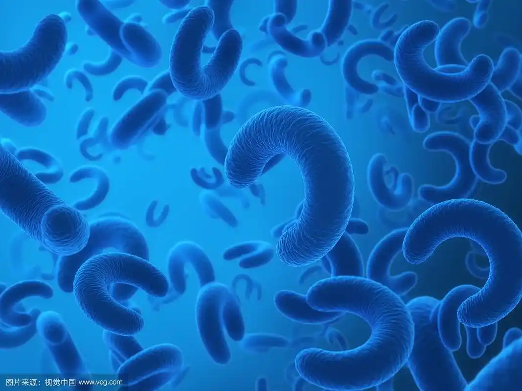 显微镜下的细胞细菌