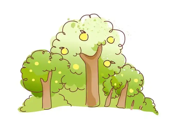 果树,矢量,在白色背景上的水果树