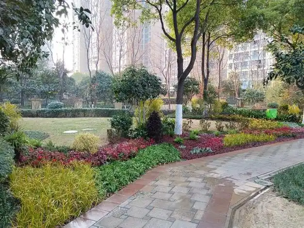 武汉万科物业开展"绿茵行动",扮靓小区颜值!|花城|绿化_网易订阅