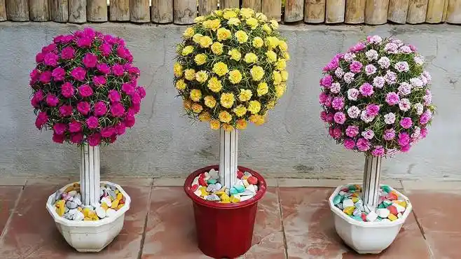 超级好看的太阳花棒棒糖造型,制作简单,一看就会-生活视频-搜狐视频