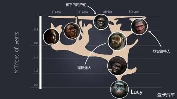 【图】【坑儿子】十万年前的老王——八一八那些尼安德特致病基因_6