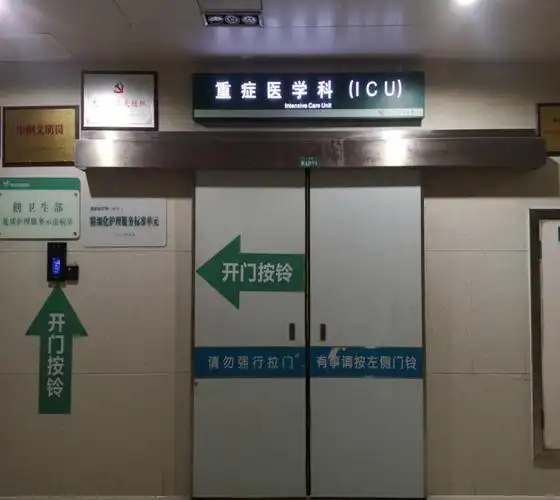 爆竹声中一岁除春风送暖icu