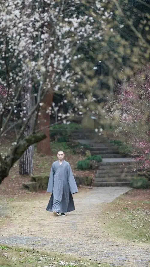 息念忘虑,佛自现前