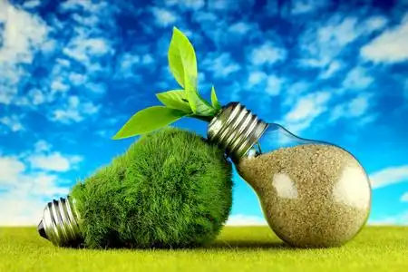 绿色生态灯泡与草植物生长在灯泡和蓝天背景. 可再生能源概念.照片