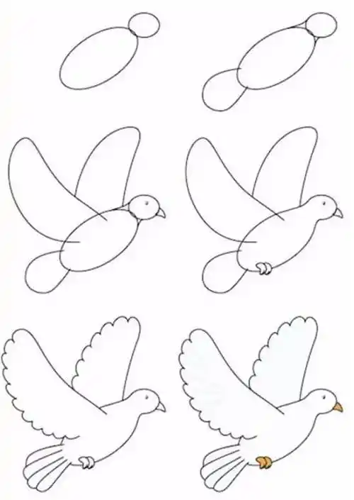 鸽子的简笔画可爱又漂亮还简单,鸽子的简笔画简单又好看相关的内容,就