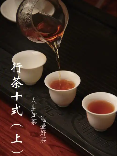从零开始学泡茶|行茶十式(上)