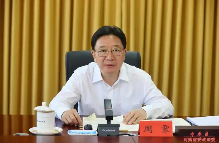 周霁(资料图 来源:河南省委政法委)