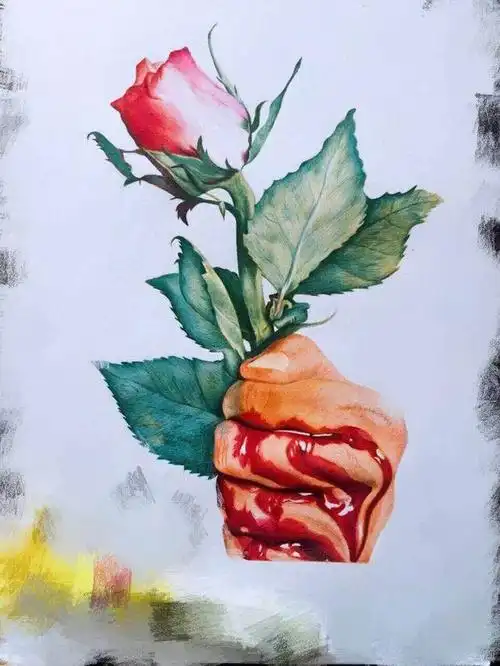 玫瑰刺(玫瑰刺扎手为什么特别疼)