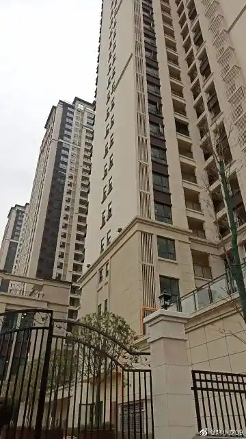 男明星放飞我有多好笑