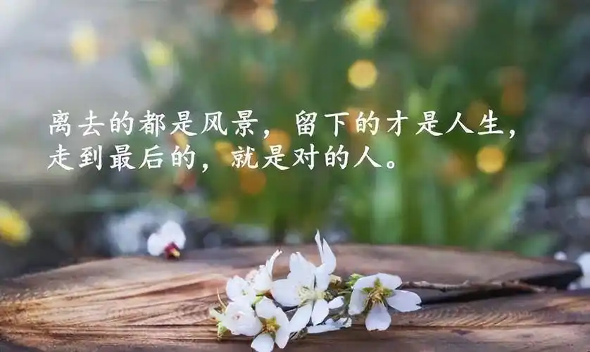 优美句子摘抄50字(朋友) - 火句子