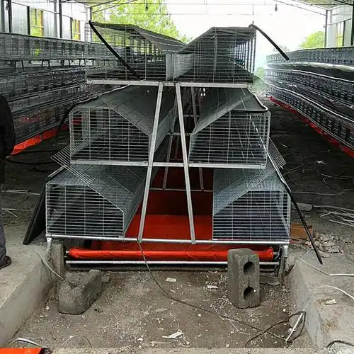 免清粪兔笼兔子笼图片-兔子笼-临沂云蒙湖笼具厂-天助网