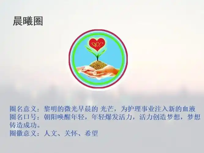 【ppt】品管圈在护理实习带教中的应用
