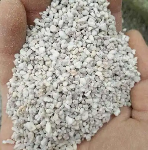 3,把插条先放在阴凉的地方1~2天的时间,进行阴干.