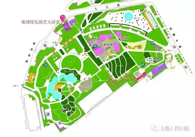 讲堂招募 人民公园多肉植物盆栽diy